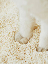 M THECAT Litter