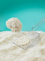 M THECAT Litter